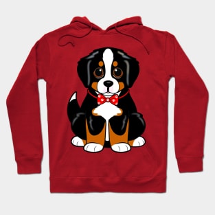 Cute Bernese Mountain Dog Puppy in a Bowtie Hoodie